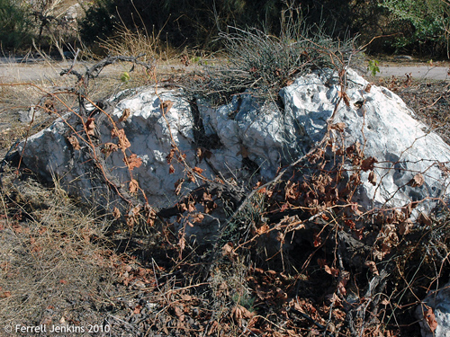 A broken stone wall of the vineyard. Photo by Ferrell Jenkins.