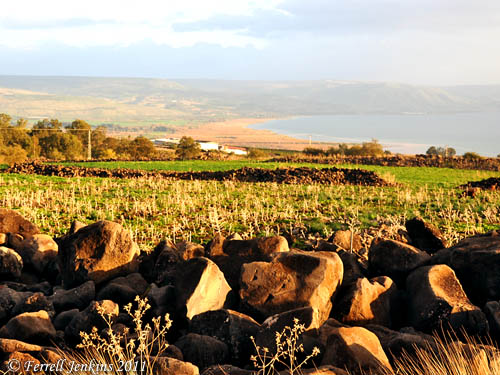 Northeast corner of the Sea of Galilee. Photo by Ferrell Jenkins.