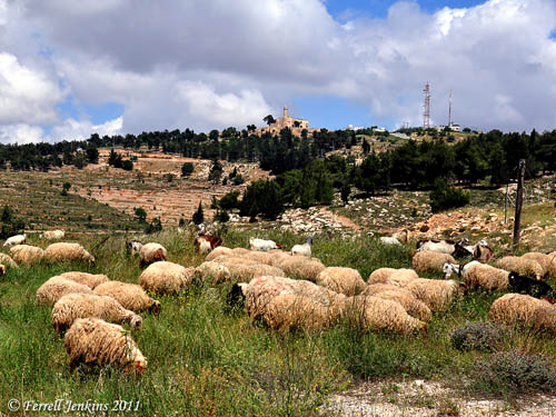 View of Nebi Samwil from the south. Photo by Ferrell Jenkins.