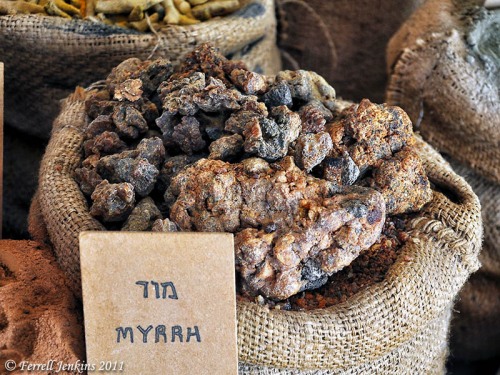 Myrrh displayed at Avdat, a stop on the Incense Route. Photo by Ferrell Jenkins.
