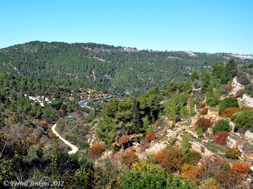 The vicinity of En Karem in the hill country of Judea. Photo by Ferrell Jenkins.