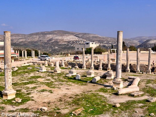 Samaria-Sebaste Forum ruins. Photo by Ferrell Jenkins.