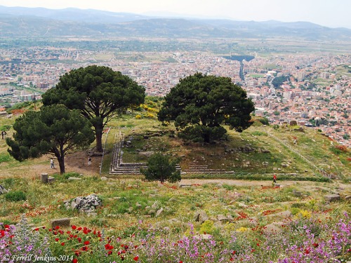 Site of the Zeus Altar at Pergamum. Photo by Ferrell Jenkins.